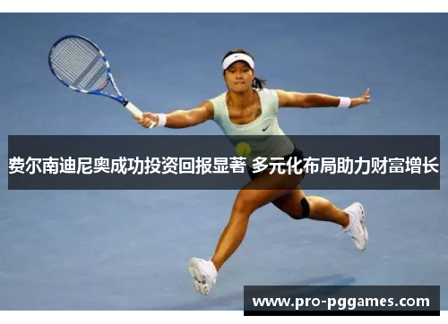 费尔南迪尼奥成功投资回报显著 多元化布局助力财富增长