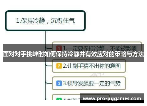 面对对手挑衅时如何保持冷静并有效应对的策略与方法