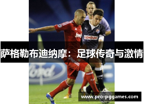 萨格勒布迪纳摩:足球传奇与激情 萨格勒布迪纳摩:足球传奇与激情