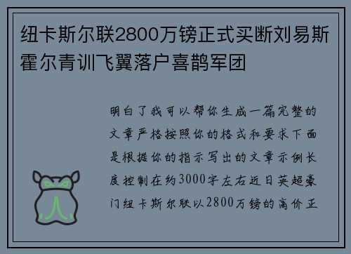 纽卡斯尔联2800万镑正式买断刘易斯霍尔青训飞翼落户喜鹊军团 纽卡斯尔联2800万镑正式买断刘易斯霍尔青训飞翼落户喜鹊军团